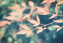 莱比锡红牛主场迎战邓迪联，谁将成为比赛的焦点？