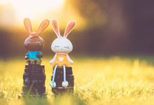 斯图加特球员共同努力，为胜利而战