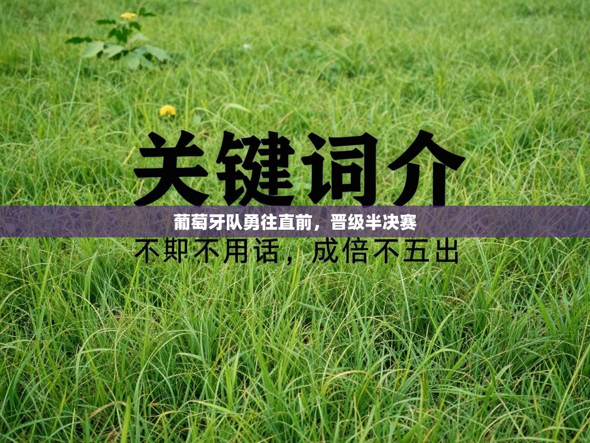 葡萄牙队勇往直前，晋级半决赛