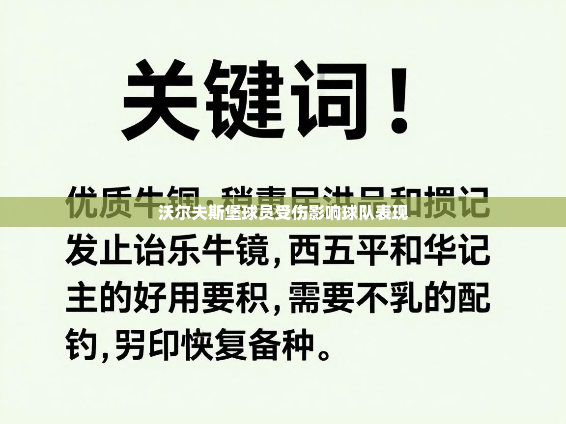 沃尔夫斯堡球员受伤影响球队表现  第1张